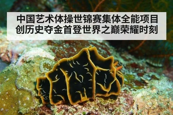 中国艺术体操世锦赛集体全能项目创历史夺金首登世界之巅荣耀时刻
