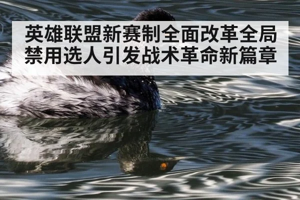 英雄联盟新赛制全面改革全局禁用选人引发战术革命新篇章